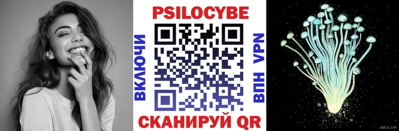 наркота  Медынь  Галлюциногенные грибы Psilocybe 